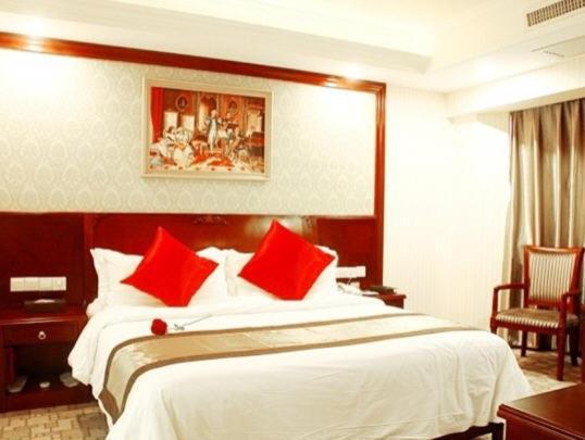 Vienna Hotel Chaoyang 난닝 시 객실 사진
